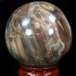 Colorful Petrified Wood Sphere #36964-2